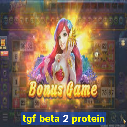 tgf beta 2 protein