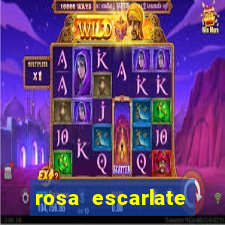 rosa escarlate ragnarok quest