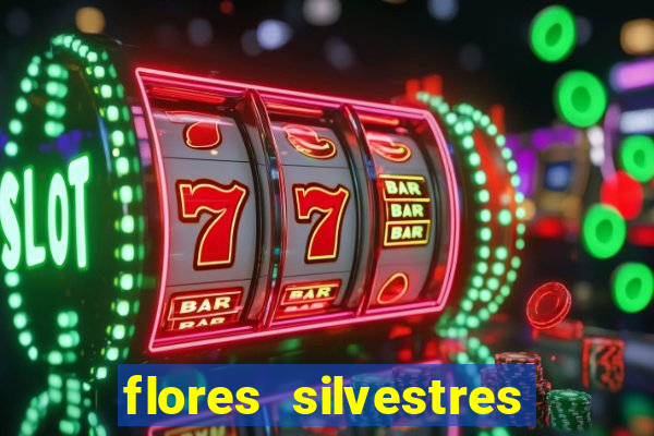 flores silvestres desbravadores desbravadores 25