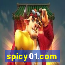 spicy01.com