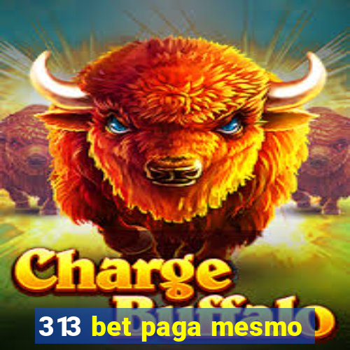 313 bet paga mesmo