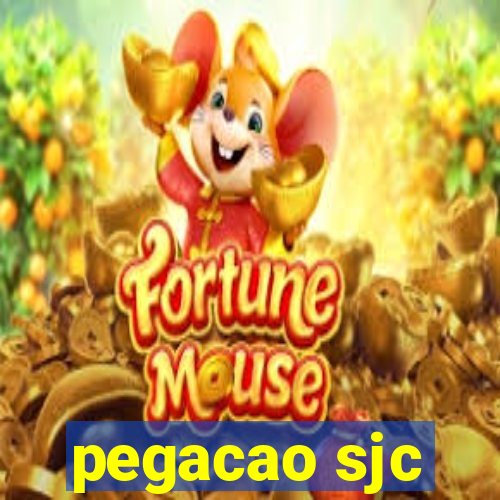 pegacao sjc