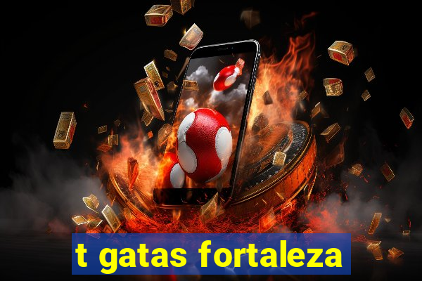 t gatas fortaleza